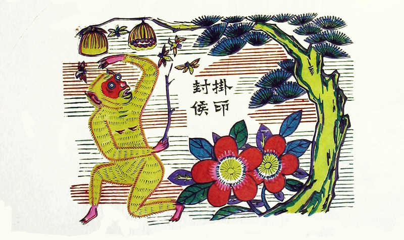 蜂猴